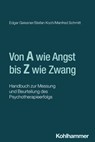 Psychotherapieerfolg messen und beurteilen - Edgar Geissner ; Stefan Koch ; Manfred Schmitt - 9783170427716