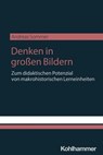 Denken in großen Bildern - Andreas Sommer ; Andreas Hübner ; Franziska Rein ; Sabrina Schmitz-Zerres - 9783170462021