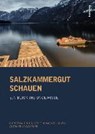Dirninger, C: Salzkammergut schauen - DIRNINGER,  Christian ; Hellmuth, Thomas ; Thuswaldner, Anton - 9783205796435