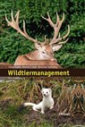 Wildtiermanagement - Klaus Robin ; Roland F. Graf ; Reinhard Schnidrig - 9783258077925