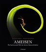 Ameisen - Heather Campbell ; Benjamin Blanchard - 9783258083742