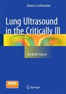 Lung Ultrasound in the Critically Ill - Daniel A. Lichtenstein - 9783319153704