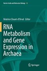 RNA Metabolism and Gene Expression in Archaea - Beatrice Clouet-d'Orval - 9783319881089