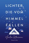Lichter, die vom Himmel fallen - Julie Larsen - 9783365004500