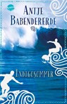 Indigosommer - Antje Babendererde - 9783401511993
