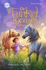 Die Funkelponys (2). Geheimnis um Stella - Emily Palmer - 9783401605036