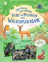 Geh hinaus und entdecke. Tiere und Pflanzen beim Waldspaziergang - Friederun Reichenstetter - 9783401719979