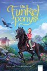 Die Funkelponys (4). Jana auf Glücksmission - Emily Palmer ; Marie Beschorner - 9783401809090