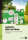 Lapbooks: Wald und Wiese - 1.-4. Klasse - Klara Kirschbaum - 9783403205210