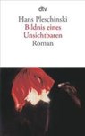 Bildnis eines Unsichtbaren - Hans Pleschinski - 9783423132763