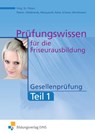 Prüfungswissen Friseurausbildung. Gesellenprüfung Teil 1 Aufgabenband - Imke Barbara Peters ; Heinz Hillebrands ; Petronilla Raila ; Ingrid Scherer - 9783427072515