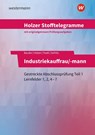 Holzer Stofftelegramme Baden-Württemberg - Industriekauffrau/-mann - Christian Seifritz ; Thomas Paaß ; Markus Bauder ; Volker Holzer - 9783427150909