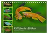 Killifische - Bunte Fische Afrikas (Tischkalender 2025 DIN A5 quer), CALVENDO Monatskalender -  - 9783435555734