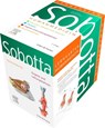 Sobotta Lernkarten Humanmedizin -  - 9783437411571