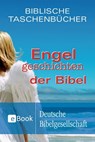Engelgeschichten der Bibel - Christiane Herrlinger - 9783438072030