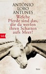 Welche Pferde sind das, die da werfen ihren Schatten aufs Meer? - António Lobo Antunes - 9783442716586