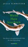 Wenn Haie leuchten - Julia Schnetzer - 9783446269477