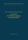 A Grammar of the Shina Language of Indus Kohistan - Ruth L. Schmidt - 9783447056762