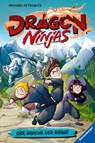 Dragon Ninjas, Band 1: Der Drache der Berge - Michael Petrowitz - 9783473405183