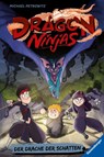 Dragon Ninjas, Band 5: Der Drache der Schatten - Michael Petrowitz - 9783473405220