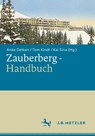 Zauberberg-Handbuch - Anke Detken ; Tom Kindt ; Kai Sina - 9783476059864