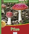 Zysk, S: Meine große Naturbibliothek: Pilze - ZYSK,  Stefanie - 9783480232277