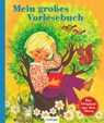 Kinderbücher aus den 1970er-Jahren: Mein großes Vorlesebuch - Grimm Brüder ; Theodor Storm ; Bruno Horst Bull - 9783480239788