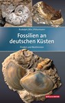 Fossilien an deutschen Küsten - Frank Rudolph ; Wolfgang Bilz ; Dirk Pittermann - 9783494015903