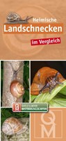 Heimische Landschnecken im Vergleich - Quelle & Meyer Verlag - 9783494019932