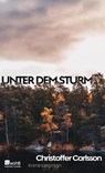 Unter dem Sturm - Christoffer Carlsson - 9783498001605