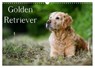 Golden Retriever (Wandkalender 2026 DIN A3 quer), CALVENDO Monatskalender -  - 9783516148992