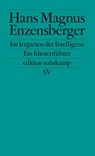 Im Irrgarten der Intelligenz - Hans Magnus Enzensberger - 9783518125328