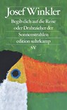 Begib dich auf die Reise oder Drahtzieher der Sonnenstrahlen - Josef Winkler - 9783518127575