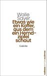 Etwas wie ein Koffer, aus dem ein Hemdzipfel schaut - Walle Sayer - 9783520755056