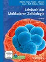 Lehrbuch der Molekularen Zellbiologie - Bruce Alberts ; Dennis Bray ; Karen Hopkin ; Alexander D. Johnson ; Julian Lewis ; Martin Raff ; Keith Roberts ; Peter Walter ; Jochen Graw - 9783527833269