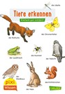 Pixi Wissen 30: VE 5 Tiere erkennen - Hanna Sörensen - 9783551231789