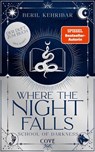 Where the Night Falls (School of Darkness 1) - Beril Kehribar - 9783551585196