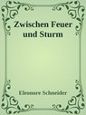 Zwischen Feuer und Sturm - Martina Eleonore Schneider - 9783565534166