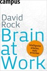 Brain at Work - David Rock - 9783593393407