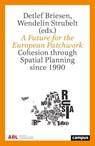 A Future for the European Patchwork - Detlef Briesen ; Wendelin Strubelt - 9783593522159