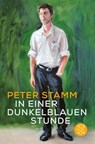 In einer dunkelblauen Stunde - Peter Stamm - 9783596707041