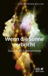 Wenn die Sonne zerbricht - Christopher Bollas - 9783608981513