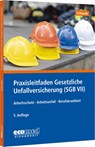 Praxisleitfaden Gesetzliche Unfallversicherung (SGB VII) - Joachim Schwede - 9783609692098