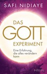 Das Gott-Experiment - Safi Nidiaye - 9783641142971