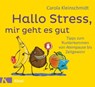 Hallo Stress, mir geht es gut - Carola Kleinschmidt - 9783641213657