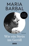 Wie ein Stein im Geröll - Maria Barbal - 9783641292591