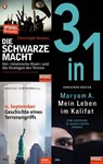 Islamismus und Heiliger Krieg (3 in 1-Bundle) - Christoph Reuter ; Stefan Aust ; Cordt Schnibben - 9783641302498