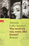 Was werd ich tun, wenn alles brennt? - António Lobo Antunes - 9783641302672