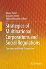Strategies of Multinational Corporations and Social Regulations - Xavier Richet ; Violaine Delteil ; Patrick Dieuaide - 9783642413681