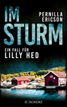 Im Sturm - Pernilla Ericson - 9783651001107